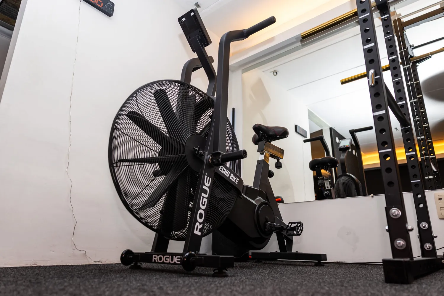 Rogue Echo Bike